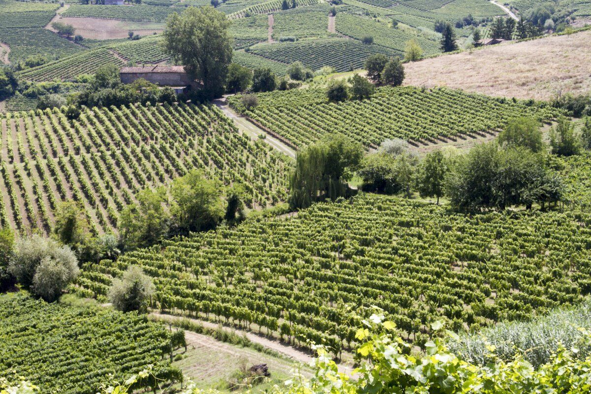 Escursione dal Medioevo di Cassine al Belvedere di Alice Bel Colle Escursione dal Medioevo di Cassine al Belvedere di Alice Bel Colle desktop picture