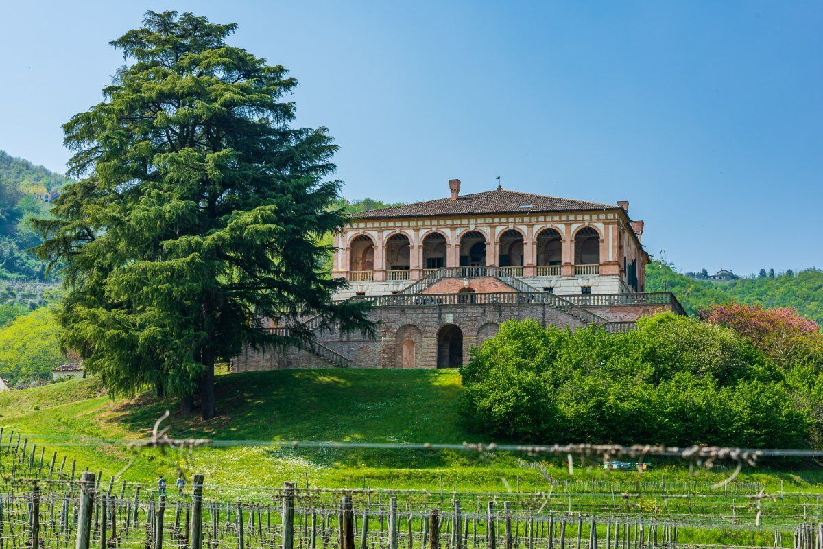 Trekking sui Colli Euganei e Visita Guidata alla Villa dei Vescovi desktop picture