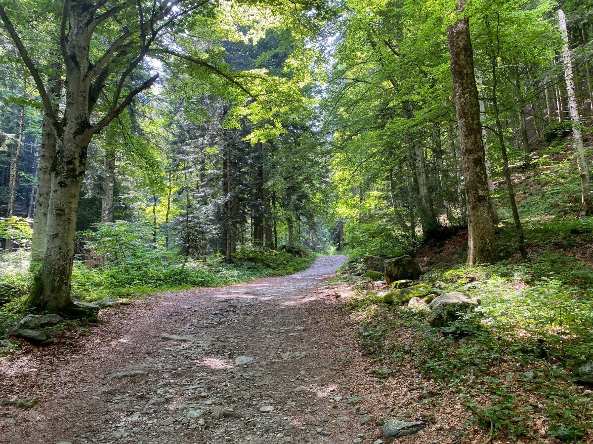 L’Anello del Marguareis: Tra Natura Selvaggia e Impetuose Cascate desktop picture