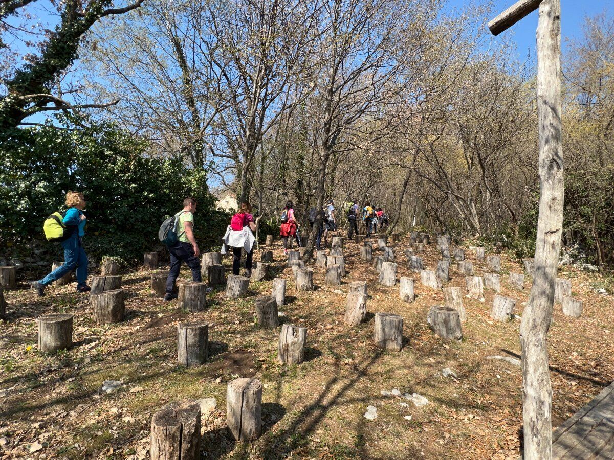 Parco del Sojo: un Percorso tra Arte e Natura Parco del Sojo: un Percorso tra Arte e Natura desktop picture
