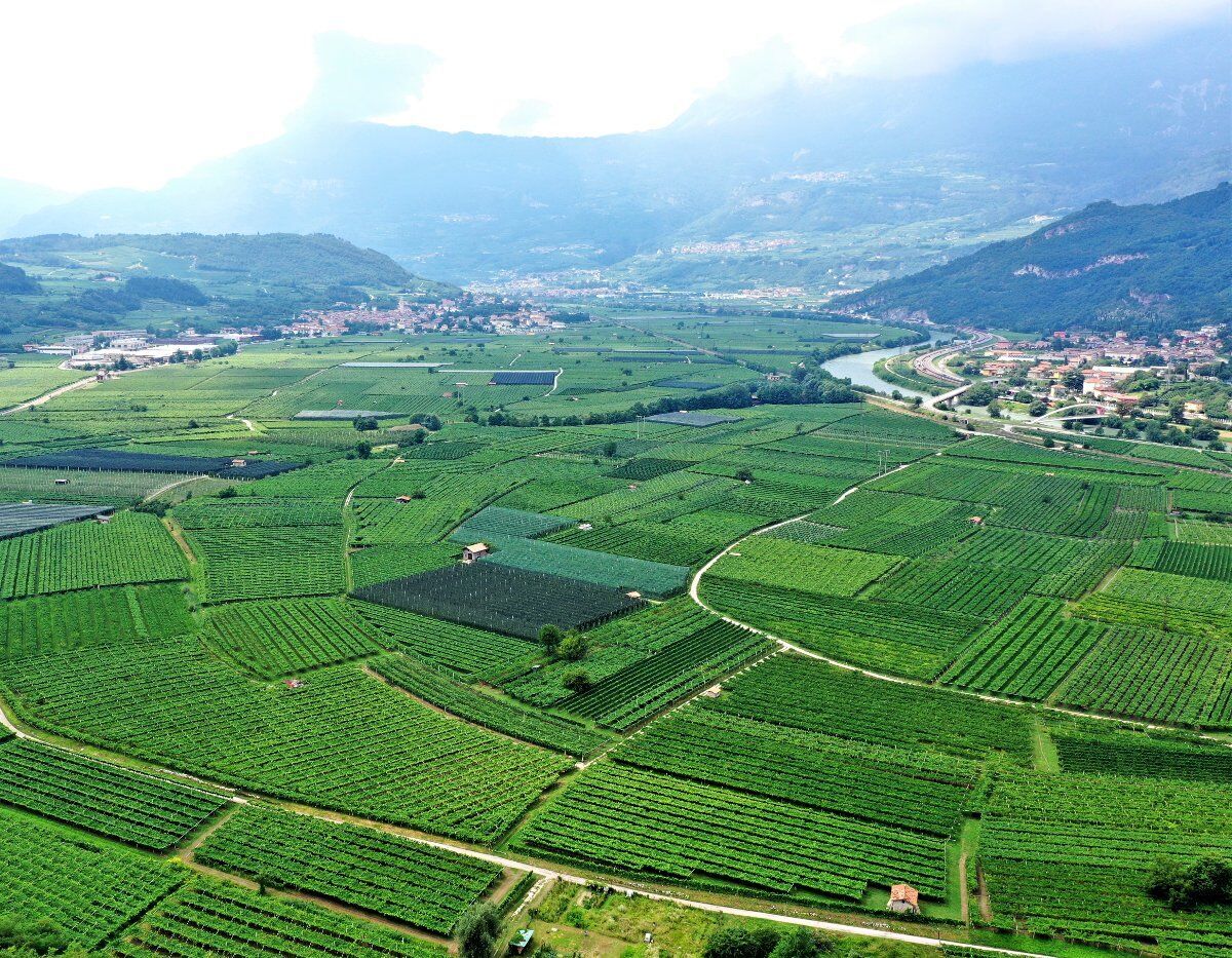 Trekking con Degustazione in Vallagarina desktop picture