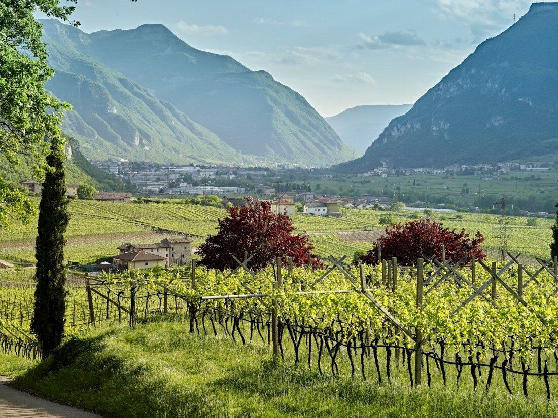 Trekking con Degustazione in Vallagarina desktop picture