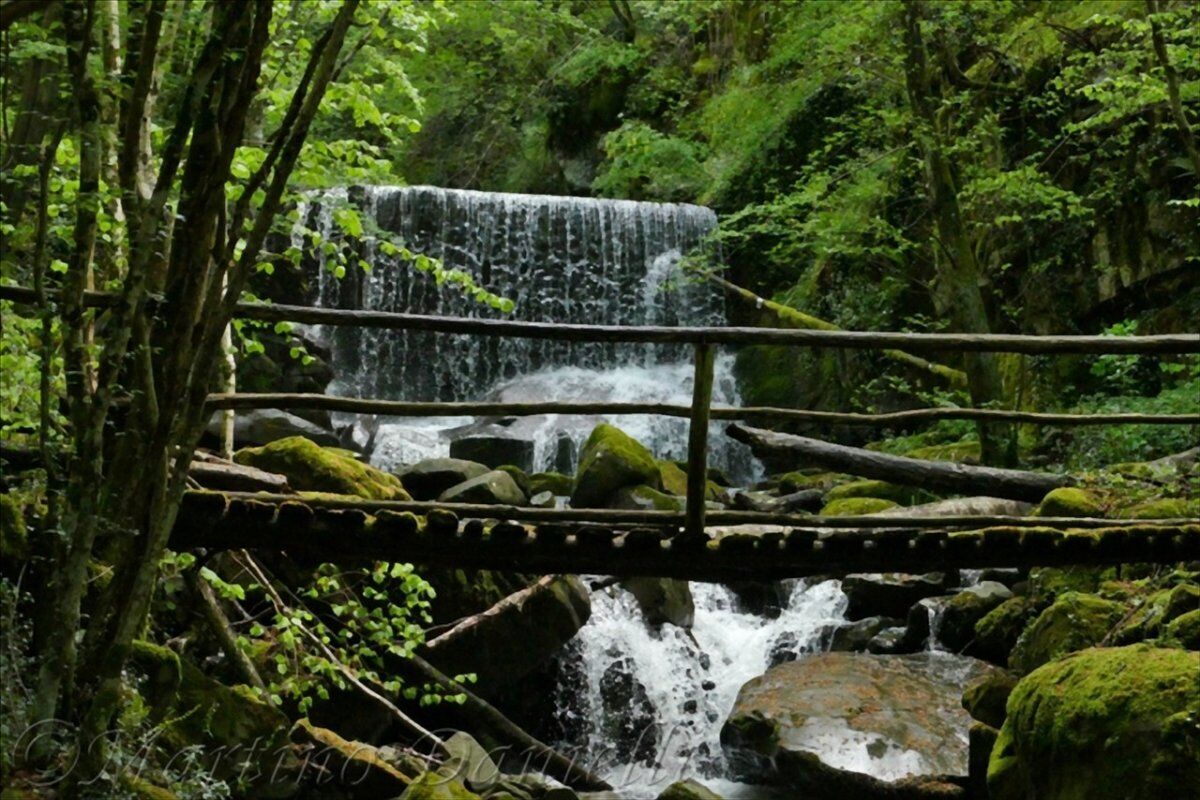 La Foresta di Sant'Antonio: Passeggiata lungo il Torrente Resco La Foresta di Sant'Antonio: Passeggiata lungo il Torrente Resco desktop picture