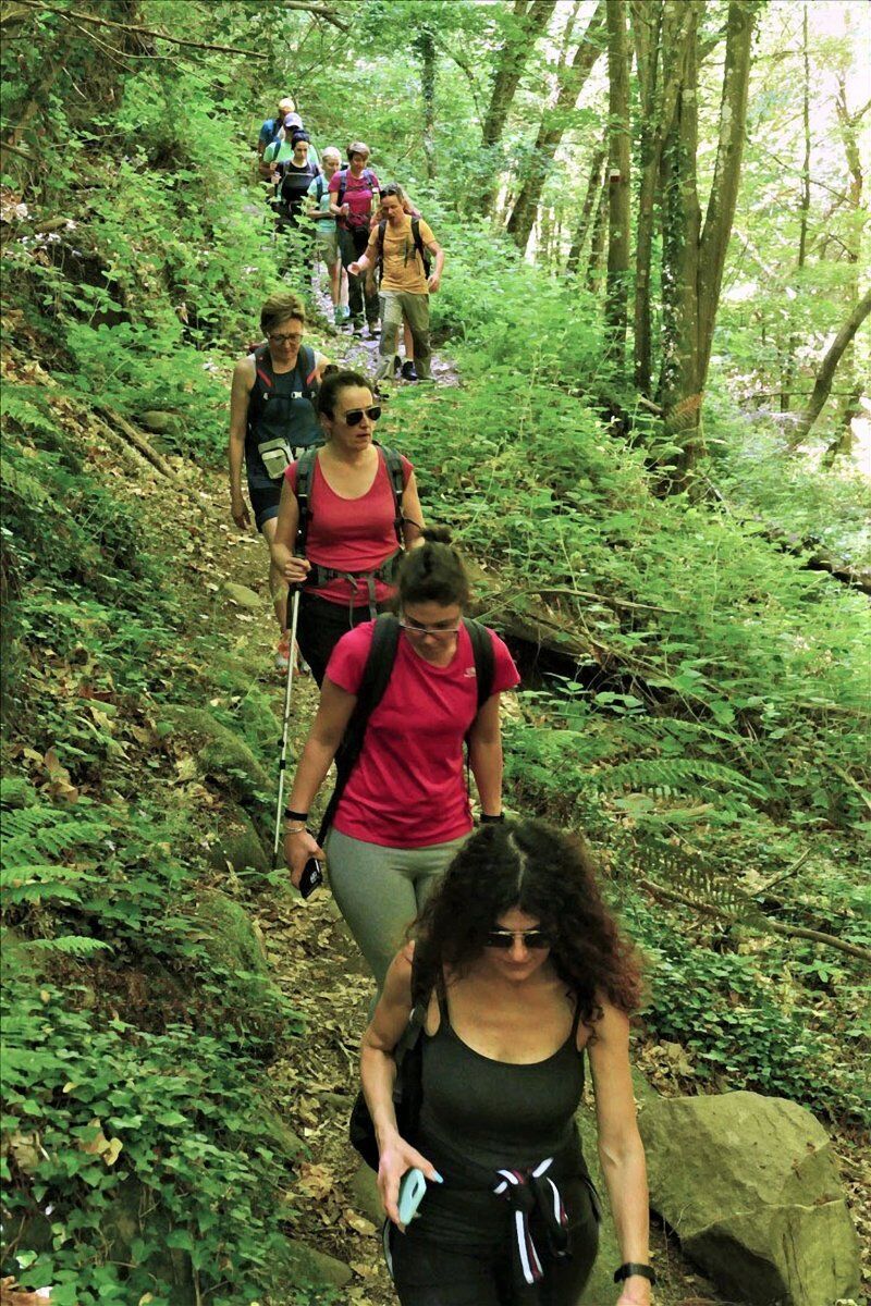 La Foresta di Sant'Antonio: Passeggiata lungo il Torrente Resco desktop picture