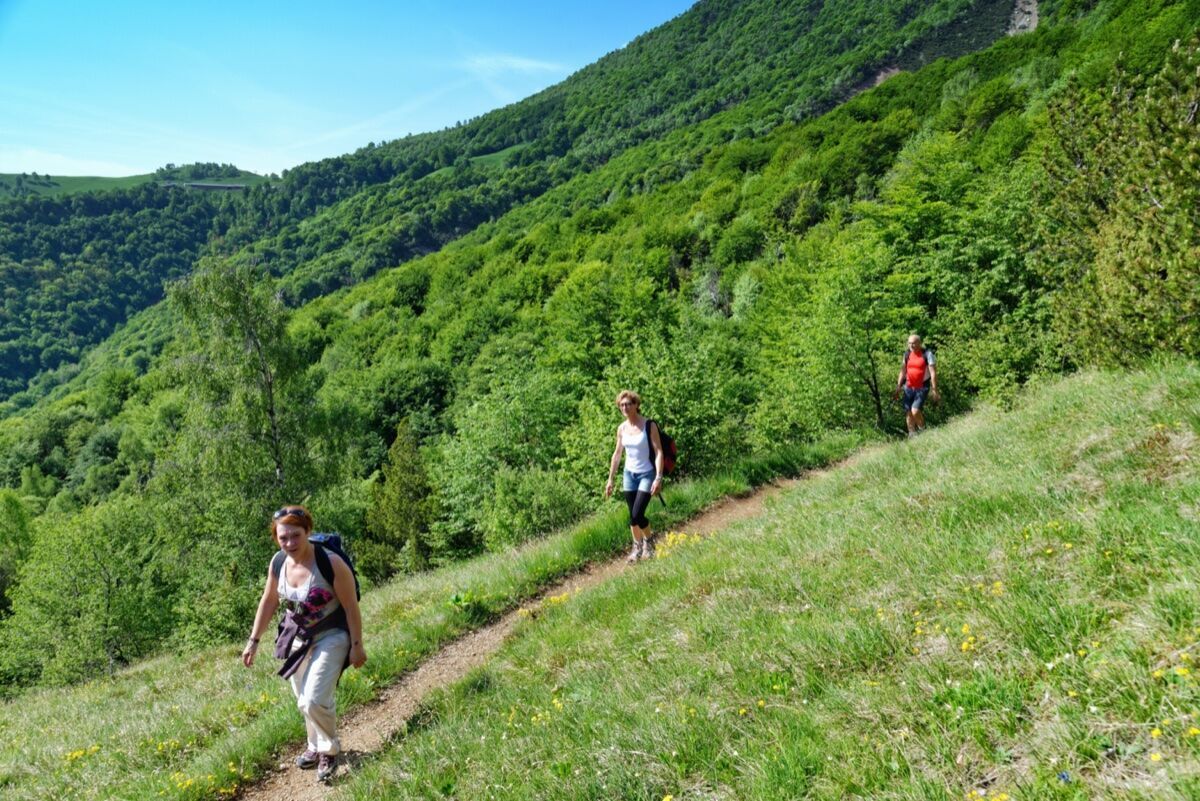 Trekking sul Monte Melma: Tra Natura e Panorami Inaspettati desktop picture