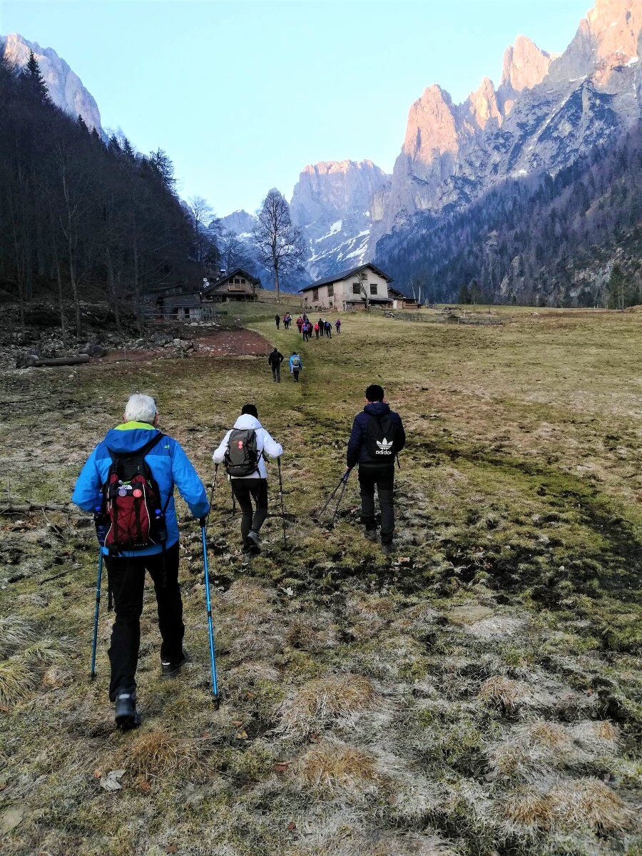 Trekking panoramico con pranzo tipico in Val Canali desktop picture