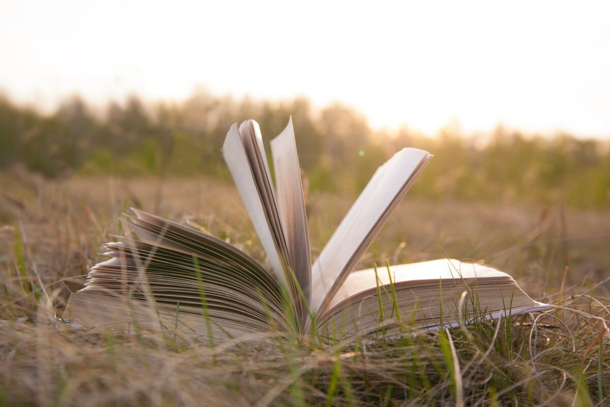 Trekking Letterario in cima al Monte Zovetto Trekking Letterario in cima al Monte Zovetto desktop picture