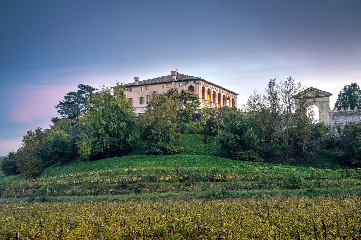 "M'Illumino di Meno": Degustazione a Lume di Candela a Villa dei Vescovi "M'Illumino di Meno": Degustazione a Lume di Candela a Villa dei Vescovi desktop picture