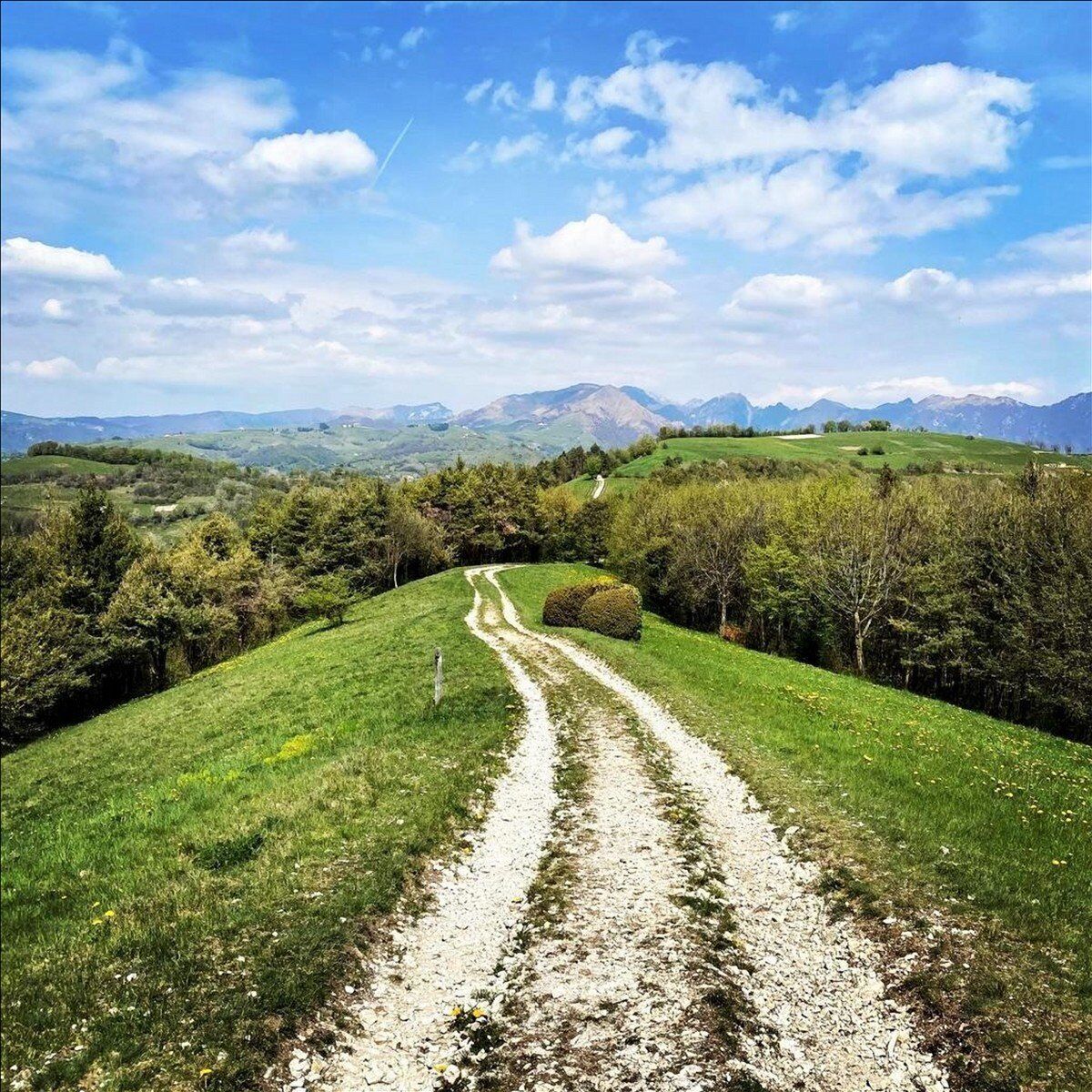 Trekking a Bolca: Scopri Fossili, Coralli e Panorami Mozzafiato Trekking a Bolca: Scopri Fossili, Coralli e Panorami Mozzafiato desktop picture