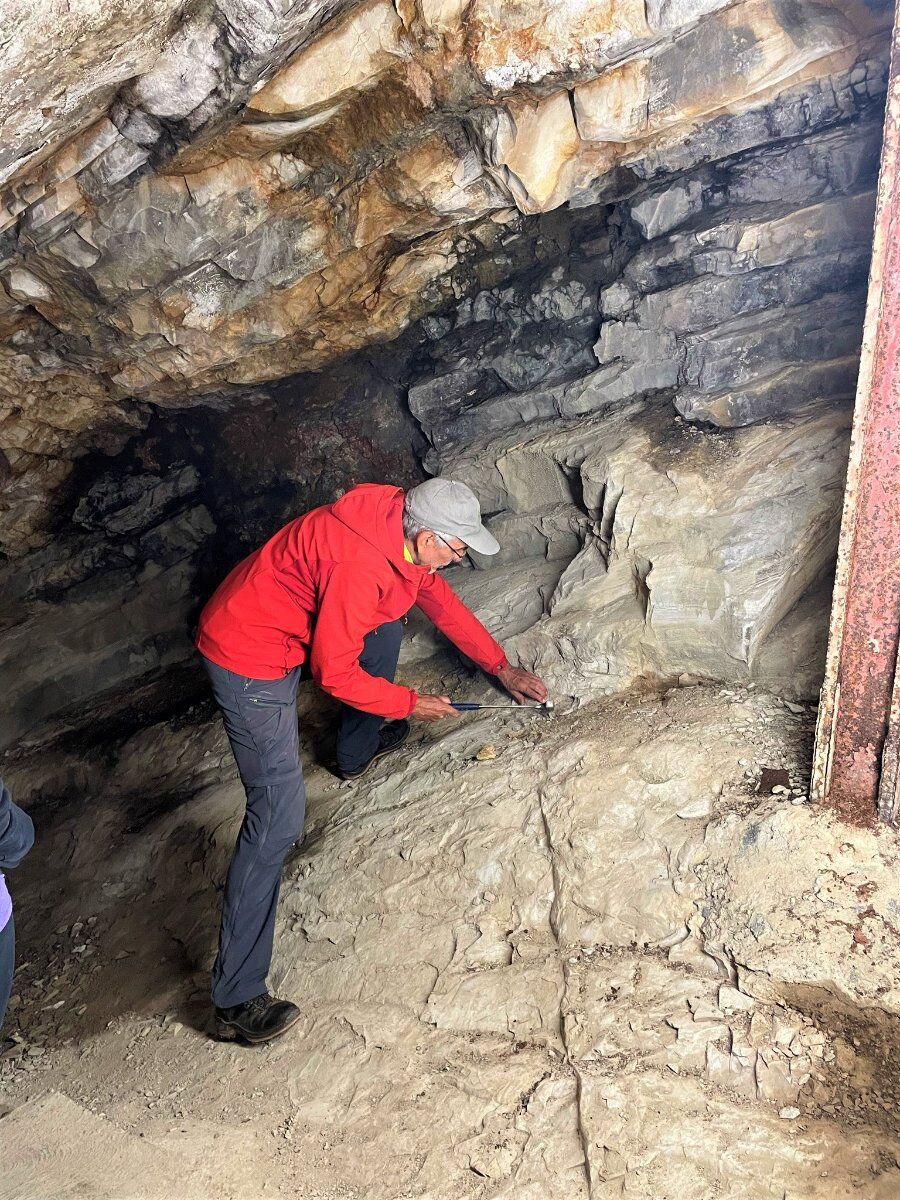 Trekking a Bolca: Scopri Fossili, Coralli e Panorami Mozzafiato Trekking a Bolca: Scopri Fossili, Coralli e Panorami Mozzafiato desktop picture