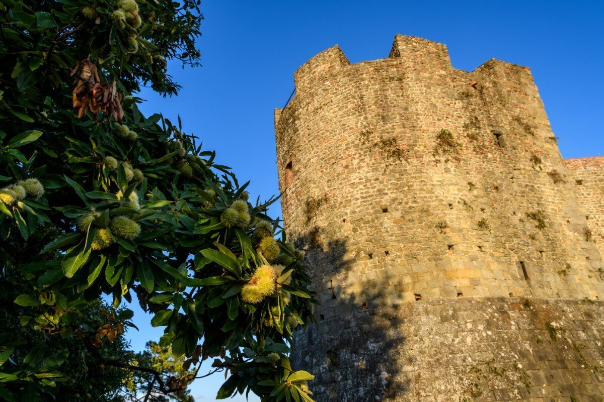 Visita Guidata a Montecarlo di Lucca: Tra Vino, Arte e Storia desktop picture