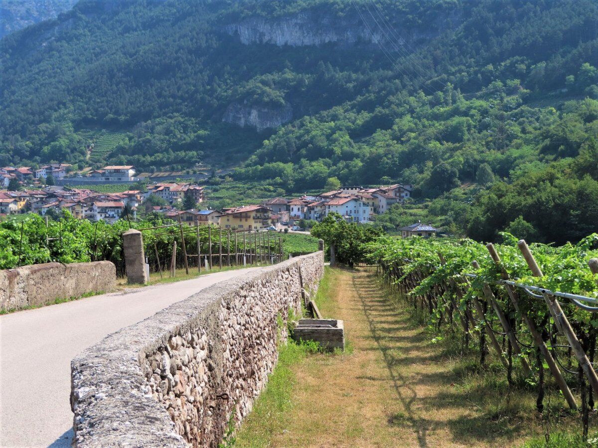 Visita al Castel Beseno e Camminata nella Valle del Rio Cavallo desktop picture
