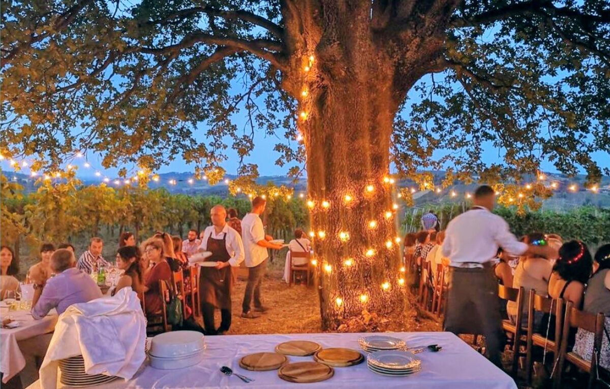 Cena tra le vigne sotto la Rovere Secolare desktop picture