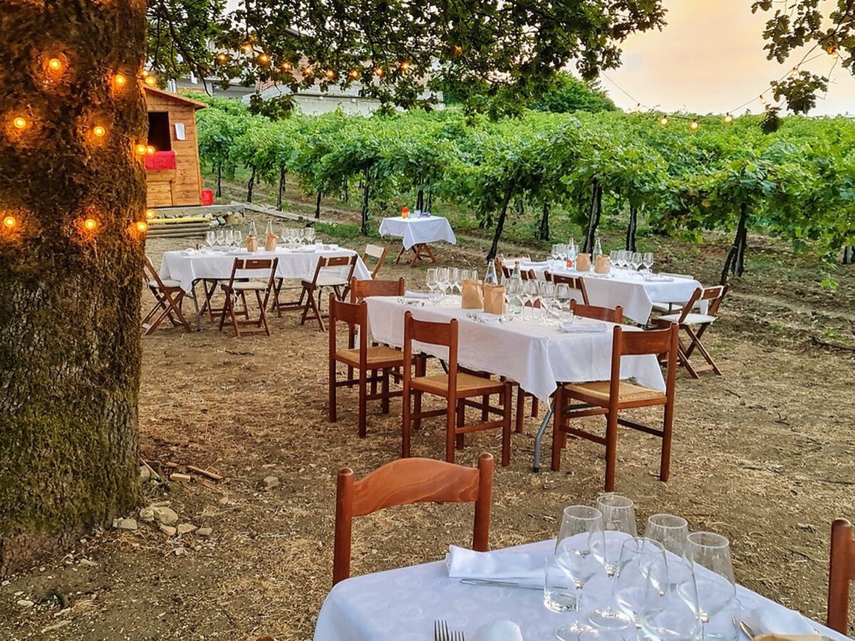 Cena tra le vigne sotto la Rovere Secolare Cena tra le vigne sotto la Rovere Secolare desktop picture