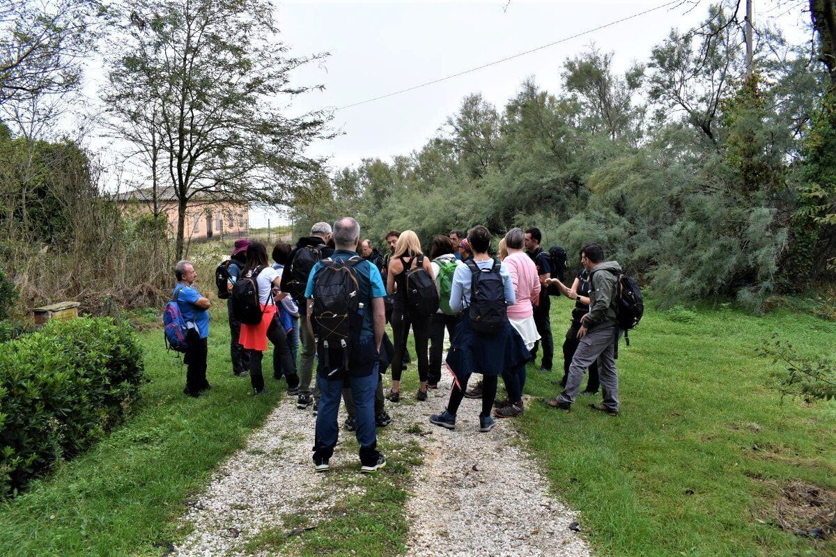 Escursione nel Delta del Po: tra foreste pluviali e fenicotteri rosa Escursione nel Delta del Po: tra foreste pluviali e fenicotteri rosa desktop picture