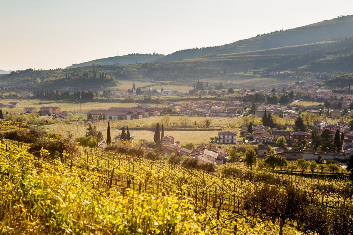 Passeggiata e Visita in Cantina a Marano di Valpolicella Passeggiata e Visita in Cantina a Marano di Valpolicella desktop picture