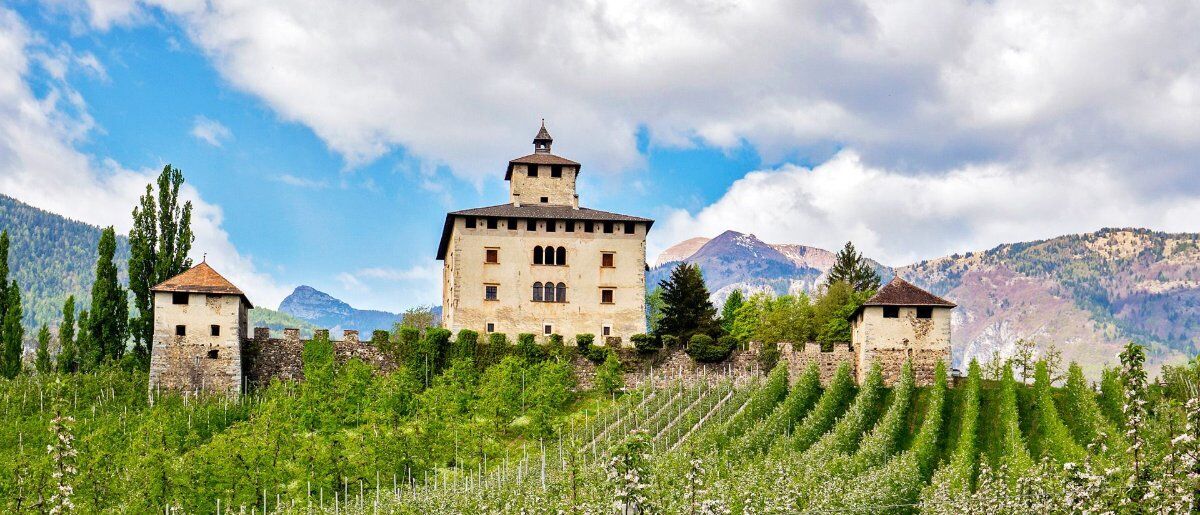 Weekend in Val di Non tra Meleti in fiore & Castelli Weekend in Val di Non tra Meleti in fiore & Castelli desktop picture