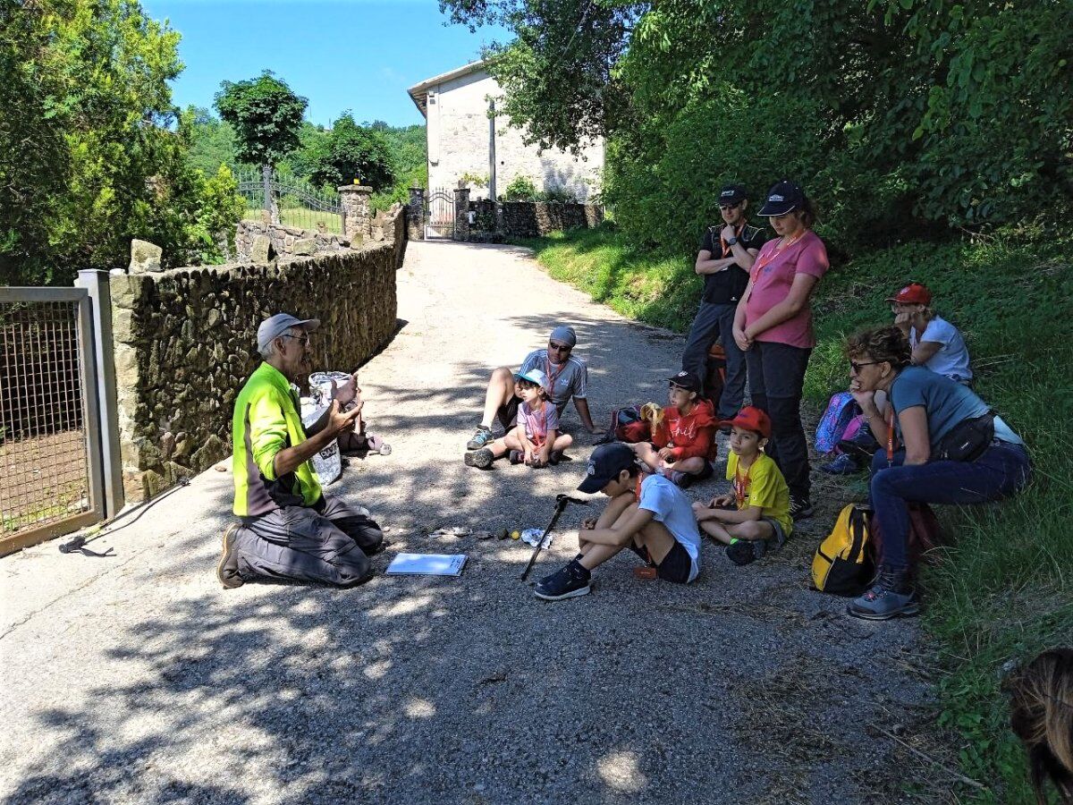 Meeters & Gengle: Passeggiata tra coccodrilli, coralli e fossili di Bolca desktop picture