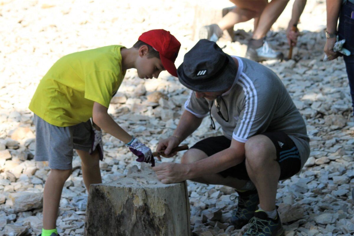 Meeters & Gengle: Passeggiata tra coccodrilli, coralli e fossili di Bolca desktop picture