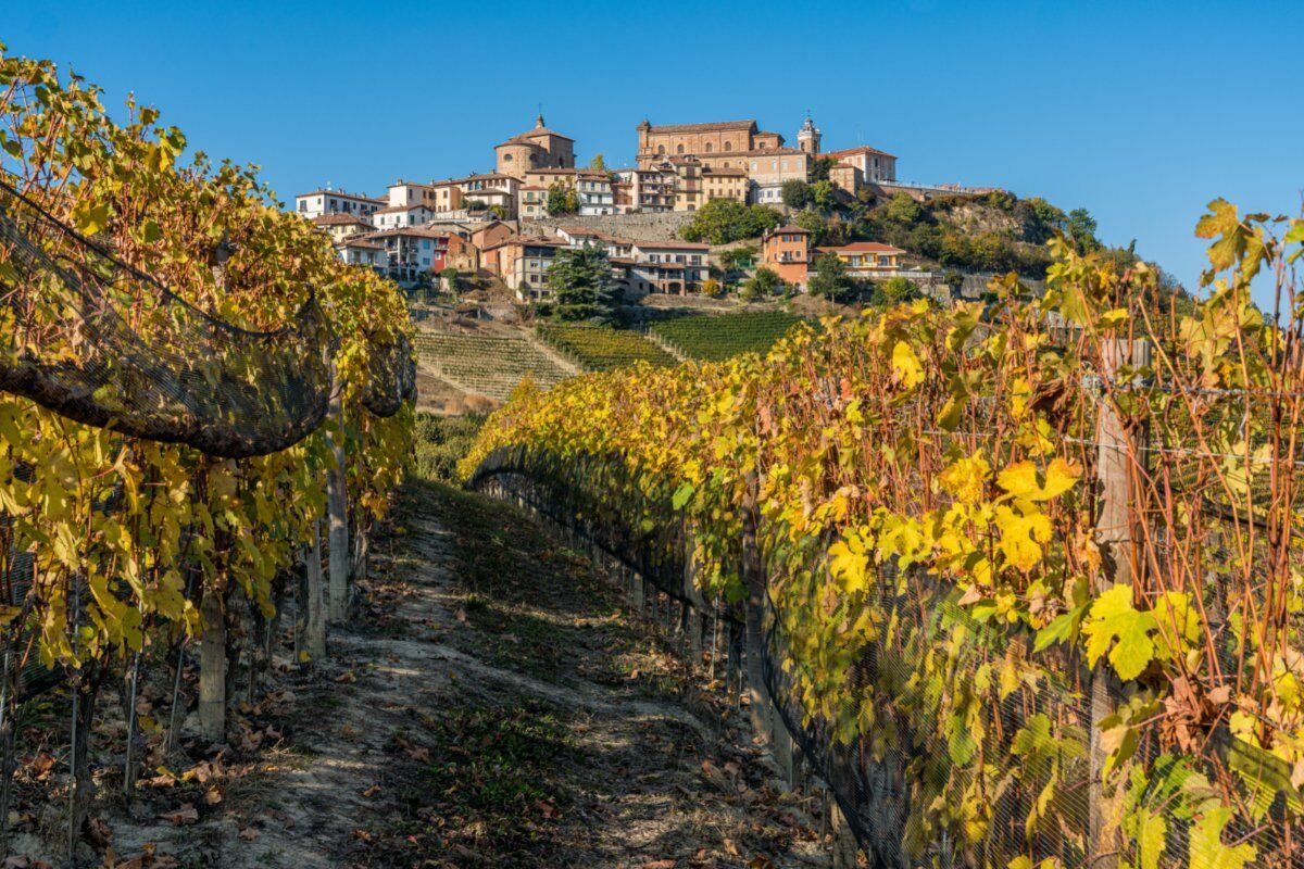 Percorso Panoramico tra le Vigne di Nizza Monferrato desktop picture