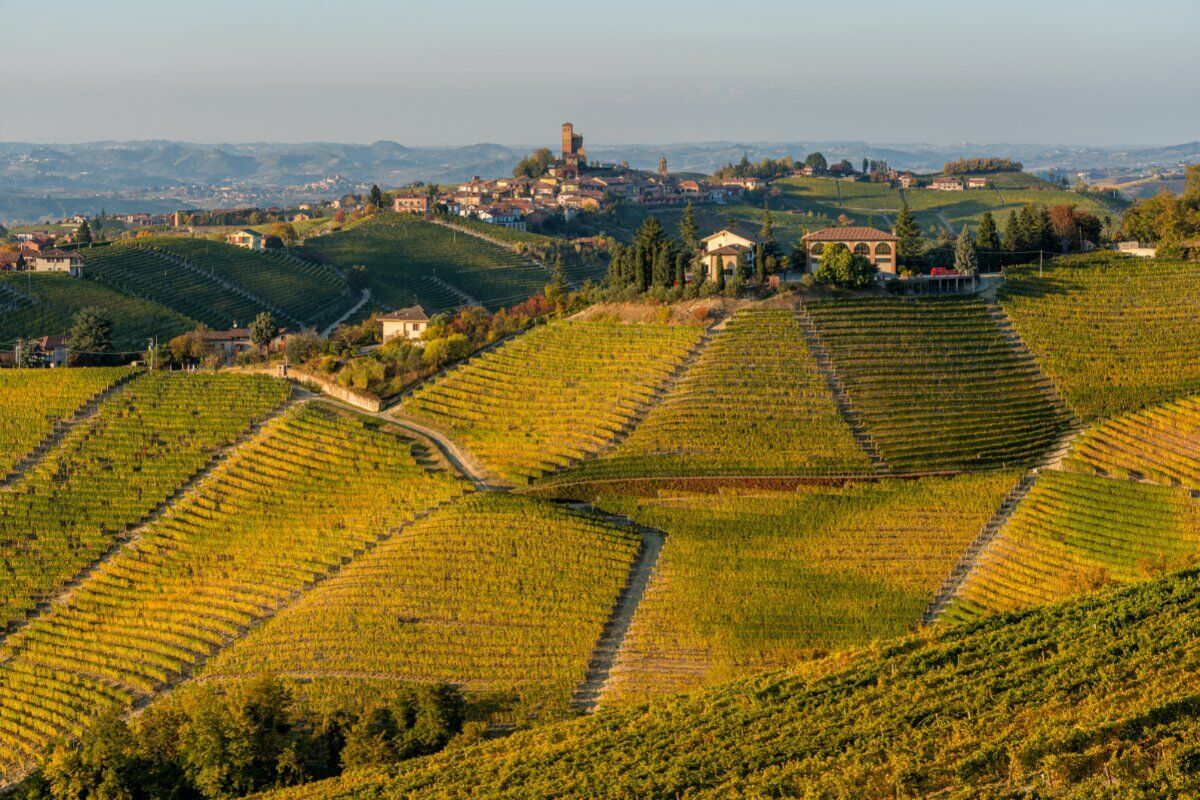 Percorso Panoramico tra le Vigne di Nizza Monferrato desktop picture