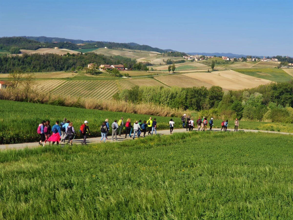 Camminata e Picnic di Pasquetta tra le Orchidee in Fiore del Monferrato desktop picture