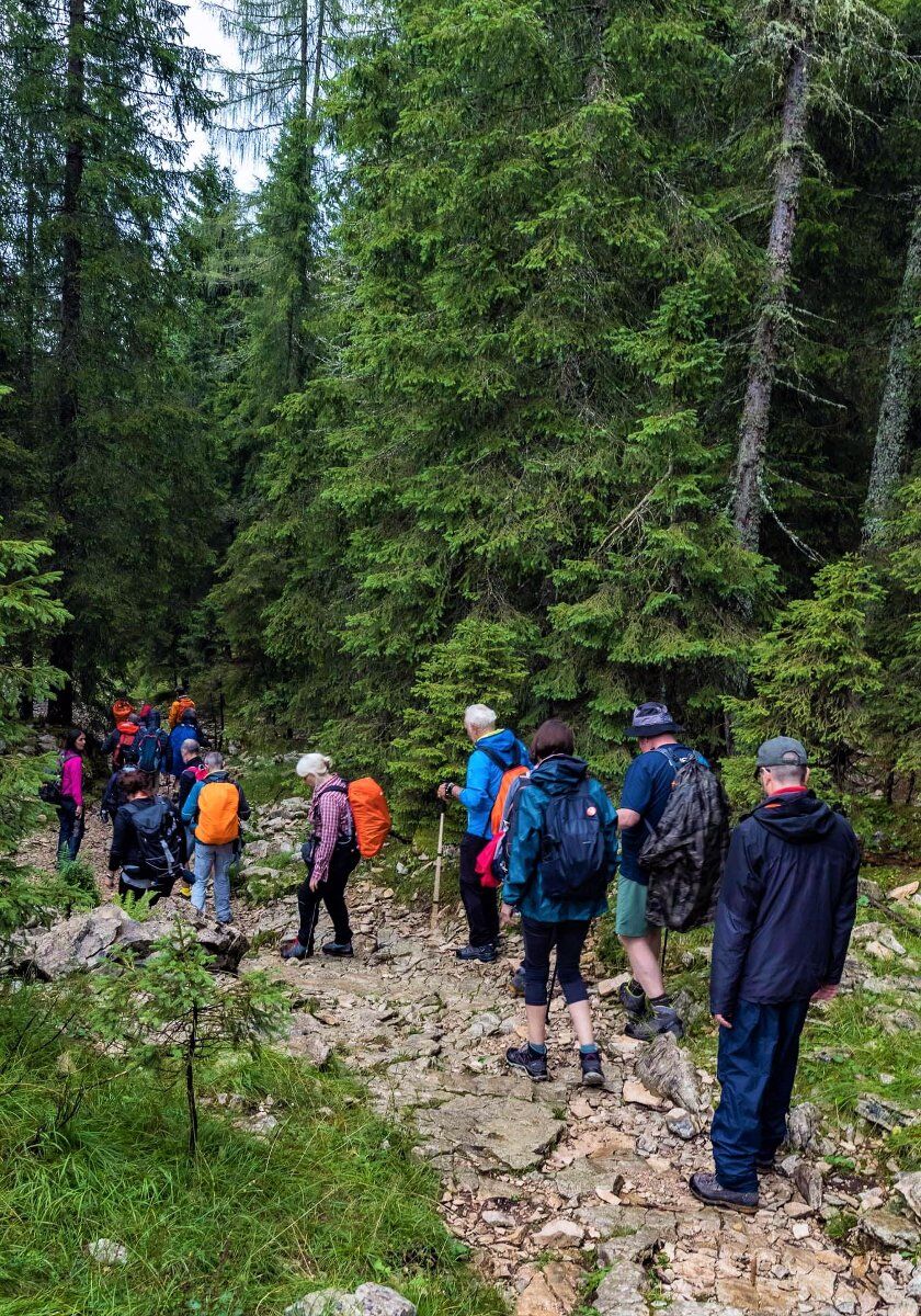 Trekking con cena tra i boschi dell'Altopiano dei Sette Comuni desktop picture