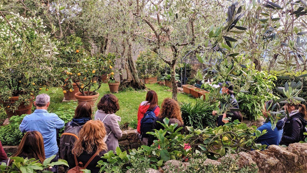 Visita Guidata dei Secret Gardens con aperitivo al tramonto Visita Guidata dei Secret Gardens con aperitivo al tramonto desktop picture