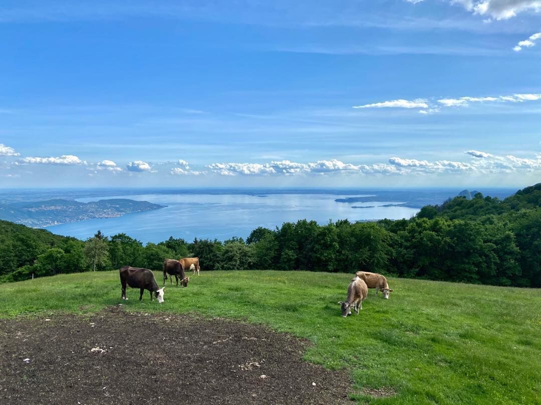 Trekking sul Monte Comer: un balcone sul Baldo e sul Lago di Garda Trekking sul Monte Comer: un balcone sul Baldo e sul Lago di Garda desktop picture