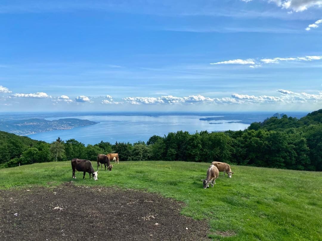 Trekking sul Monte Comer: un balcone sul Baldo e sul Lago di Garda desktop picture