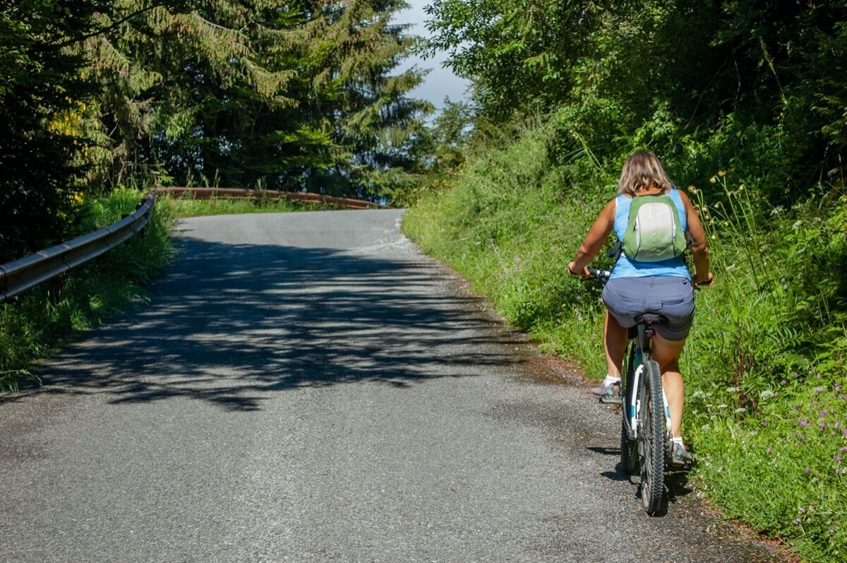 E-Bike Tour tra Colli e Panorami di Bergamo Alta (Bike Inclusa) desktop picture