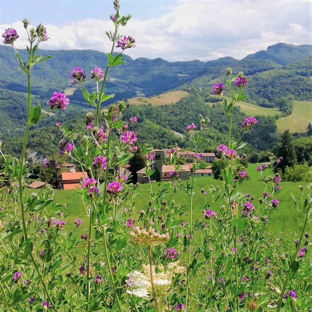 Il Borgo di Onfiano: Trekking sui Colli Reggiani con Cena Finale Il Borgo di Onfiano: Trekking sui Colli Reggiani con Cena Finale desktop picture