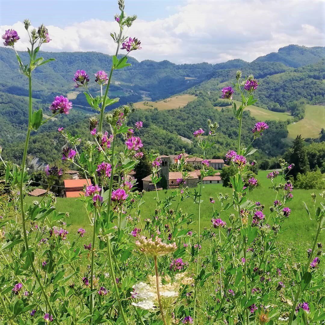 Il Borgo di Onfiano: Trekking sui Colli Reggiani con Cena Finale desktop picture