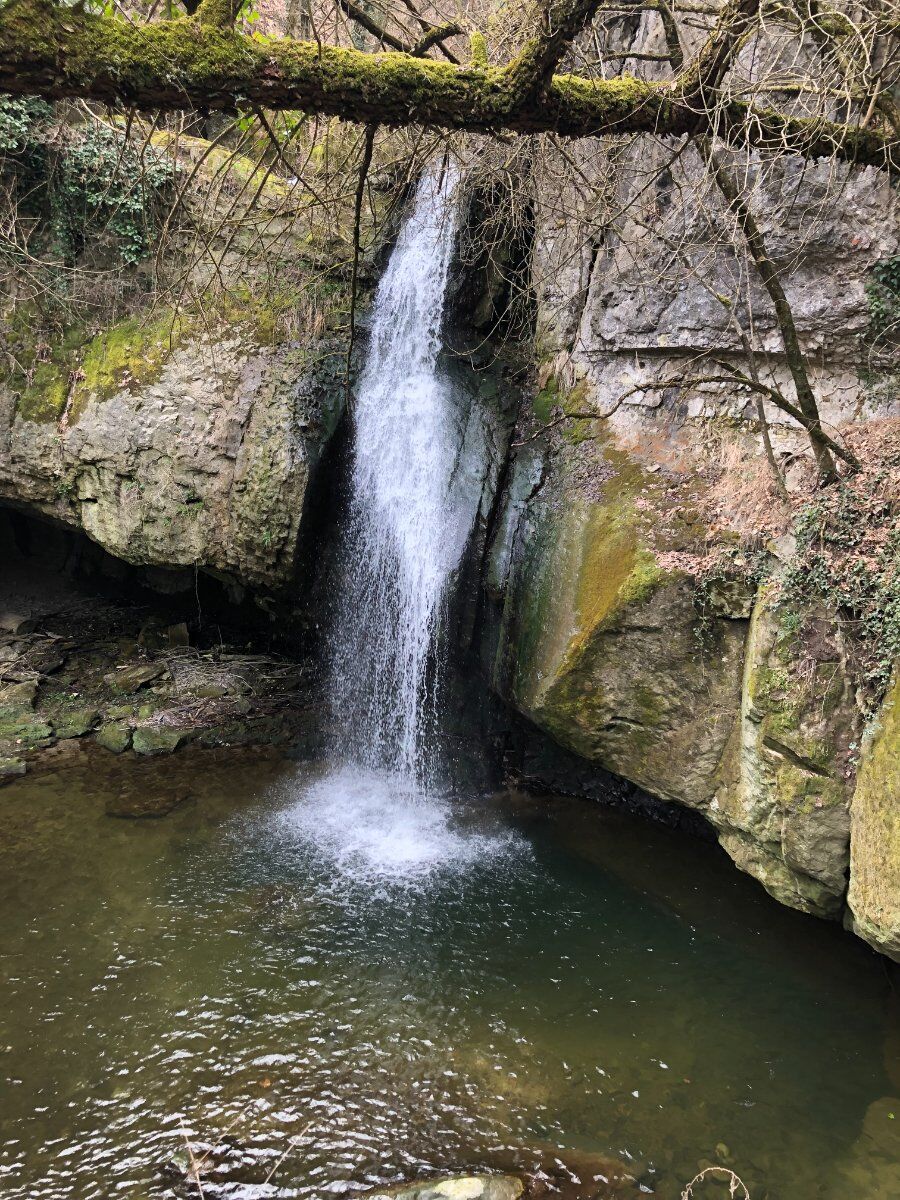 Il Borgo di Onfiano: Trekking sui Colli Reggiani con Cena Finale desktop picture