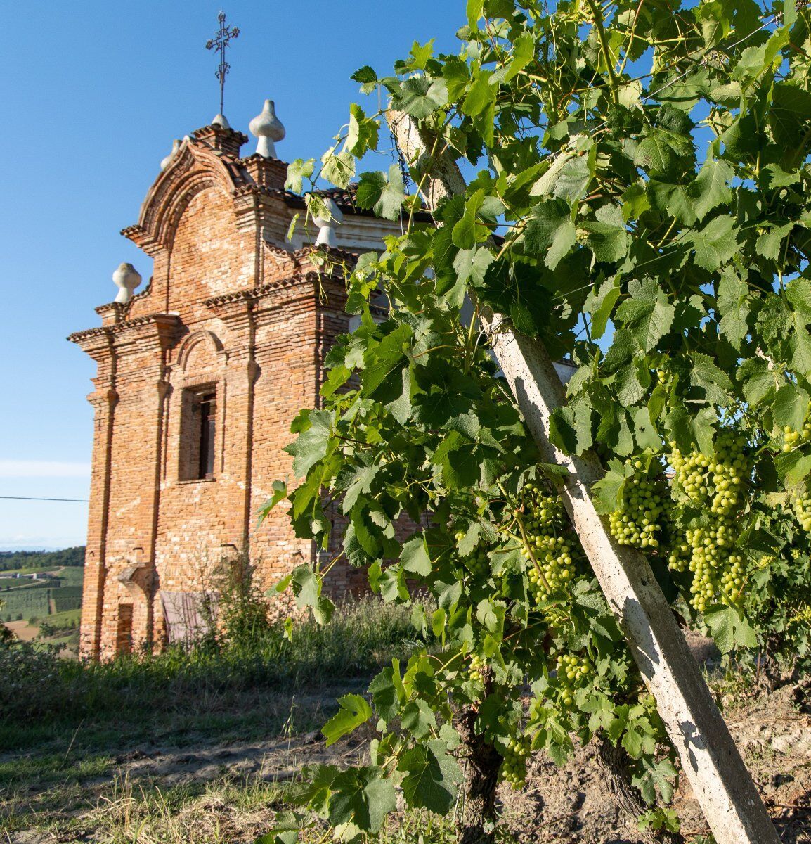 Sala Monferrato: Itinerario ad anello tra Santi e Vigneti Sala Monferrato: Itinerario ad anello tra Santi e Vigneti desktop picture