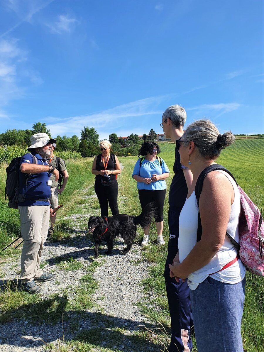 Sala Monferrato: Itinerario ad anello tra Santi e Vigneti Sala Monferrato: Itinerario ad anello tra Santi e Vigneti desktop picture