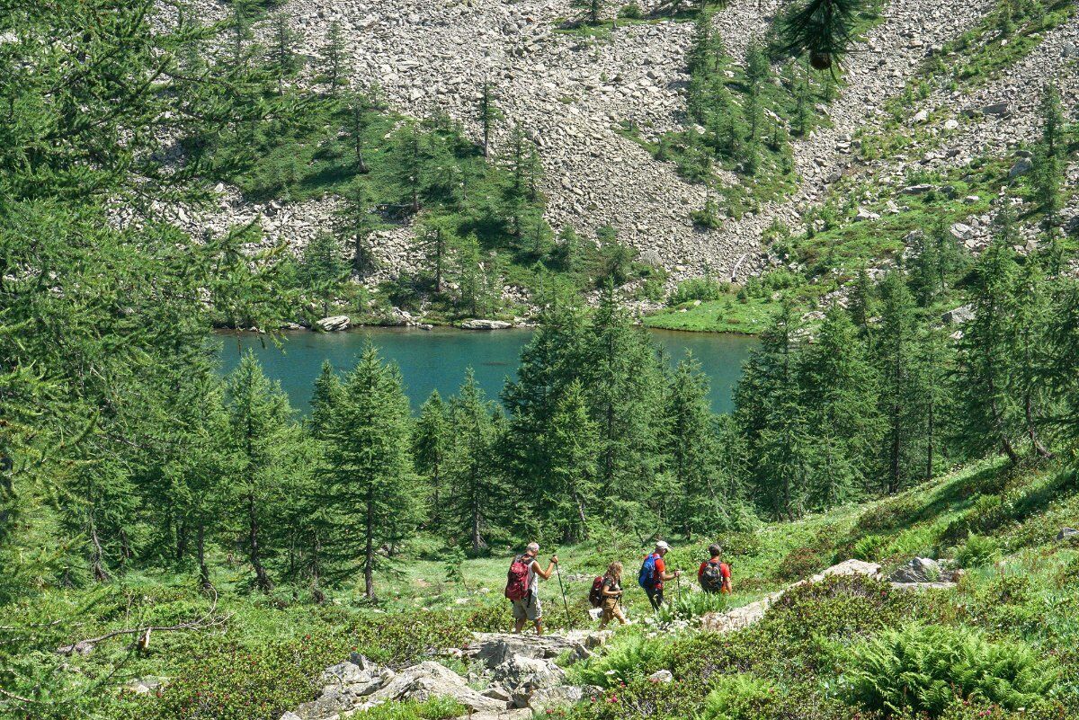 Trekking in Val Bognanco: L’incontaminata Valle delle Cento Cascate Trekking in Val Bognanco: L’incontaminata Valle delle Cento Cascate desktop picture