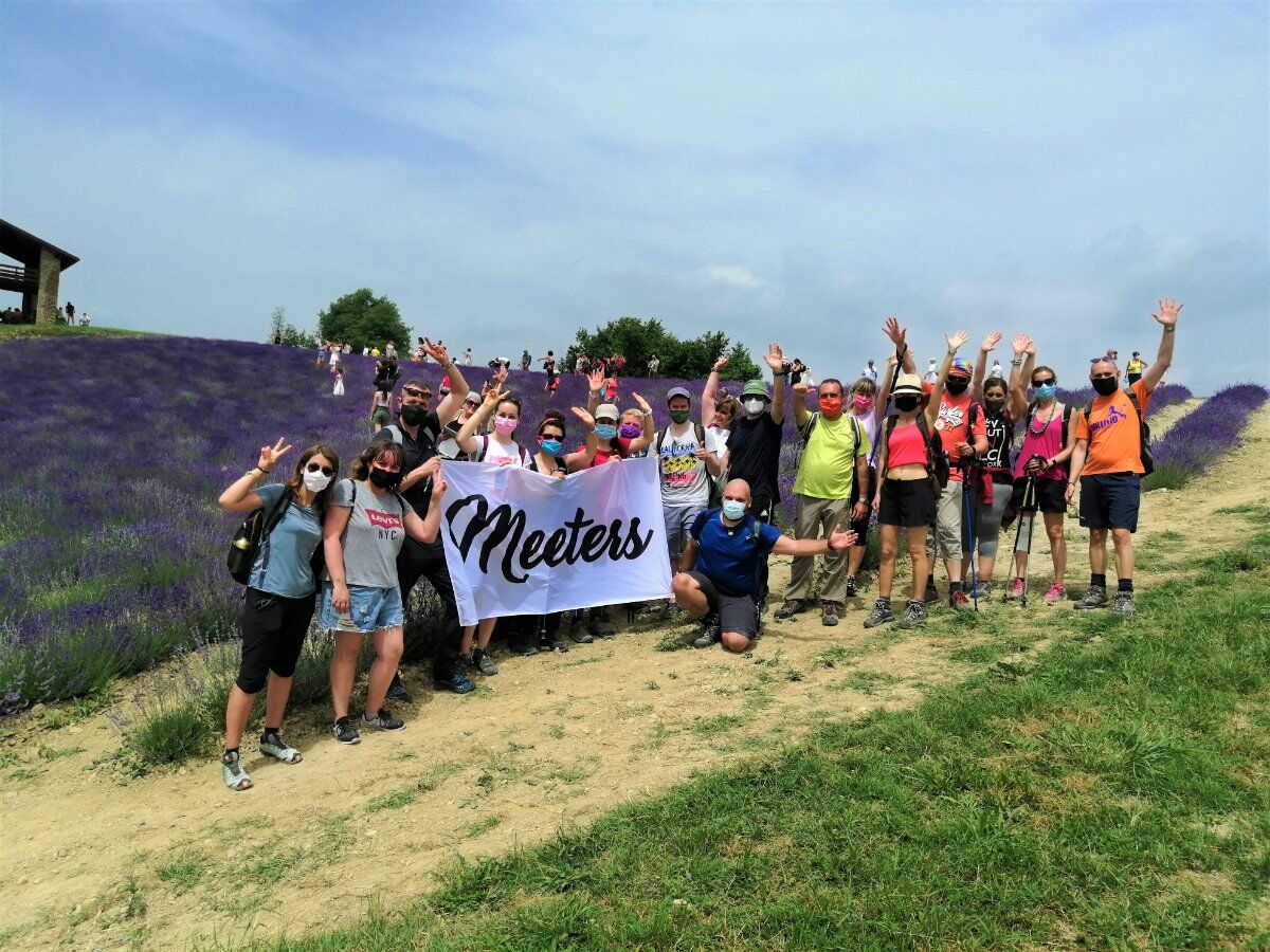 In un Mare di Lavanda: Escursione nella "Provenza Piemontese" In un Mare di Lavanda: Escursione nella "Provenza Piemontese" desktop picture