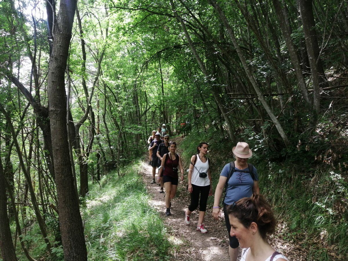 In un Mare di Lavanda: Escursione nella "Provenza Piemontese" In un Mare di Lavanda: Escursione nella "Provenza Piemontese" desktop picture