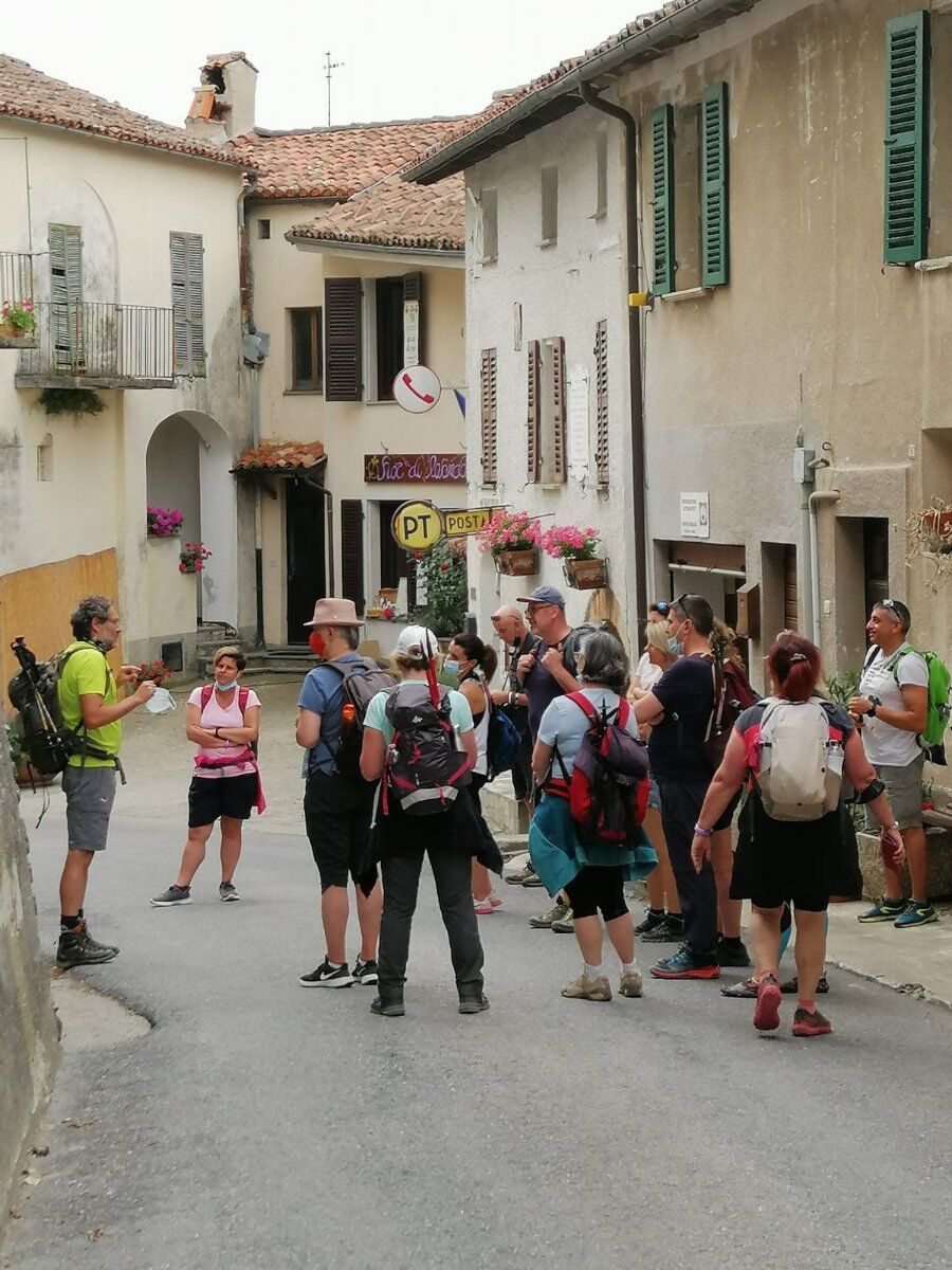In un Mare di Lavanda: Escursione nella "Provenza Piemontese" desktop picture