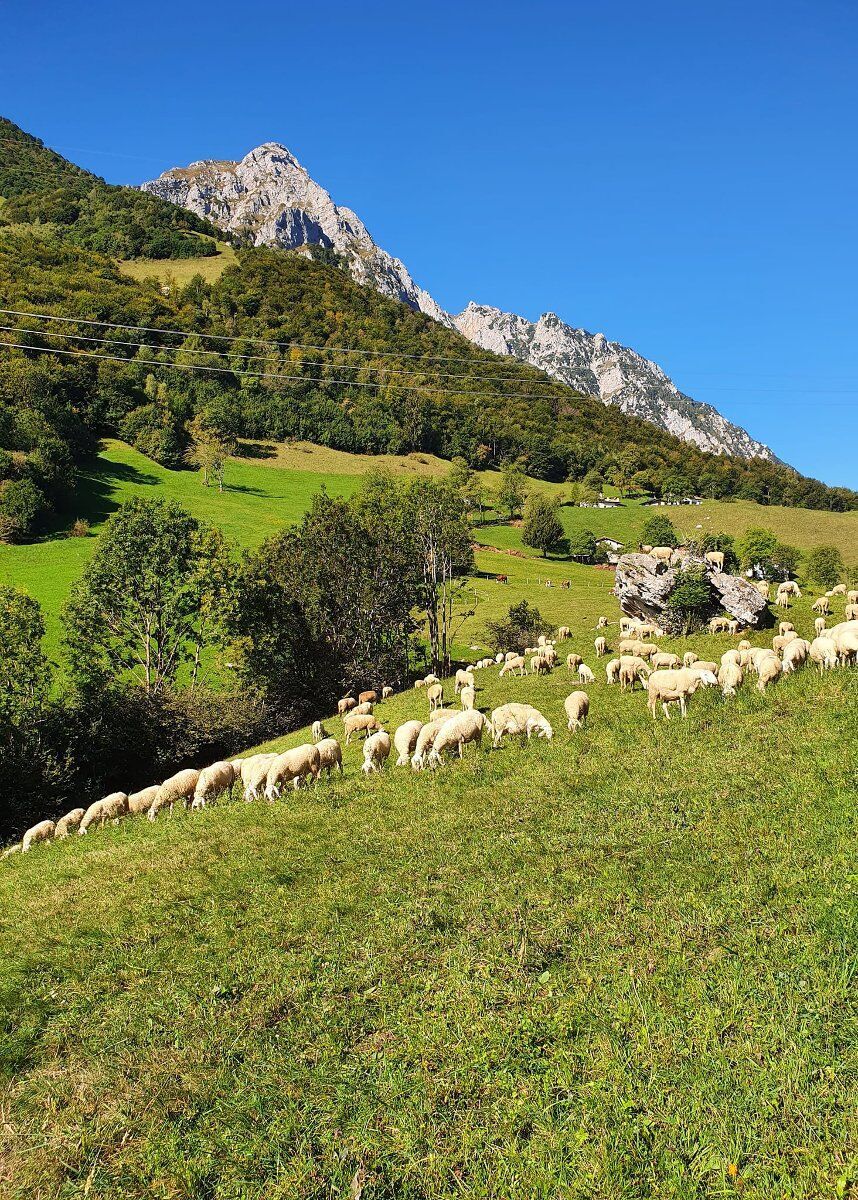 Trekking da Baiedo al Rifugio Riva: natura e leggende della Valsassina desktop picture