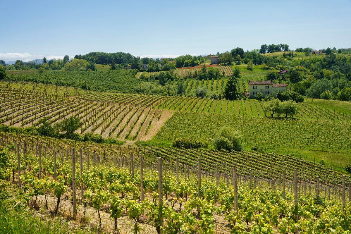 I Sentieri di Monastero Bormida: storia e arte nell'Alto Monferrato I Sentieri di Monastero Bormida: storia e arte nell'Alto Monferrato desktop picture