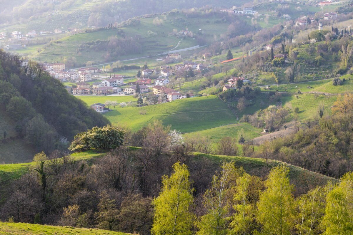 Meeters & Gengle: Passeggiata Serale alla ricerca delle Lucciole Meeters & Gengle: Passeggiata Serale alla ricerca delle Lucciole desktop picture