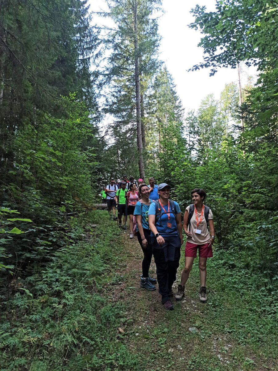 Il Drago di Lavarone: Un Trekking ad Opera d'Arte Il Drago di Lavarone: Un Trekking ad Opera d'Arte desktop picture