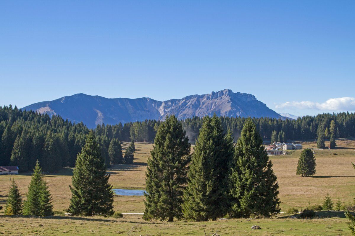 Il Drago di Lavarone: Un Trekking ad Opera d'Arte Il Drago di Lavarone: Un Trekking ad Opera d'Arte desktop picture