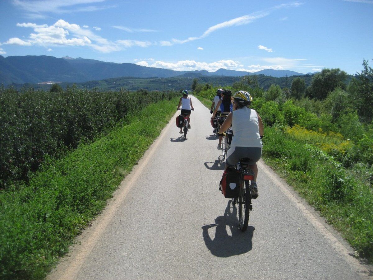 Tour in Bicicletta in Val d'Adige con visita al Forte di Ceraino desktop picture