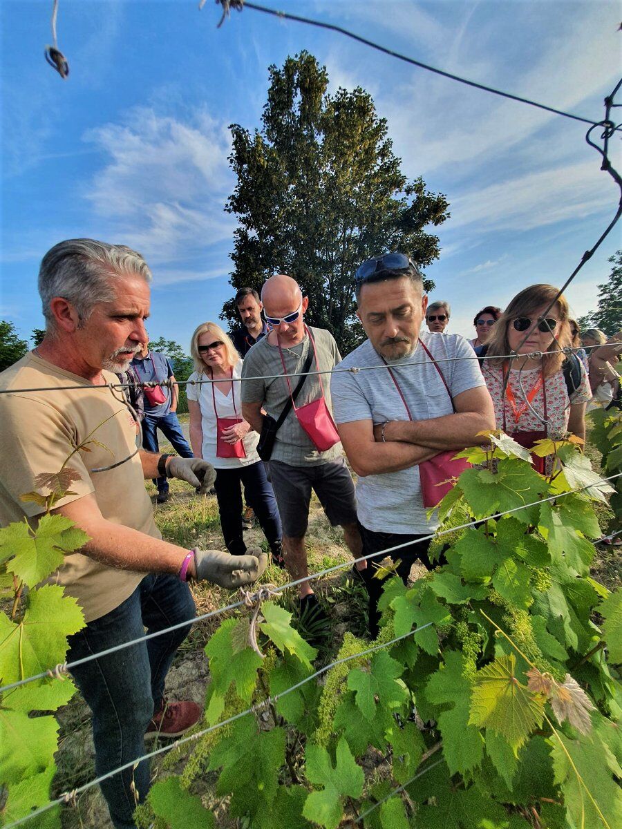 Aperitivo con Degustazione di Vino tra le Vigne di Morsasco desktop picture