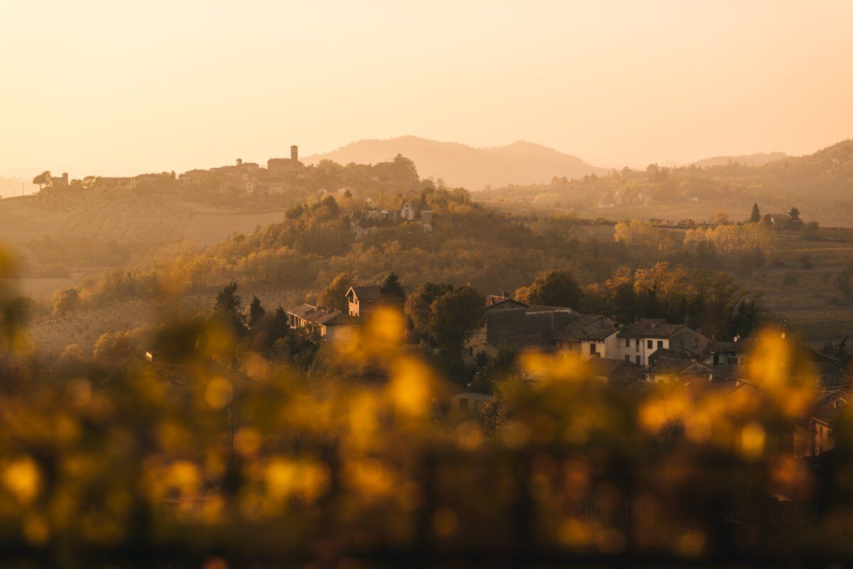 Degustazione di Vino al Tramonto tra i Vigneti di Nizza Monferrato Degustazione di Vino al Tramonto tra i Vigneti di Nizza Monferrato desktop picture