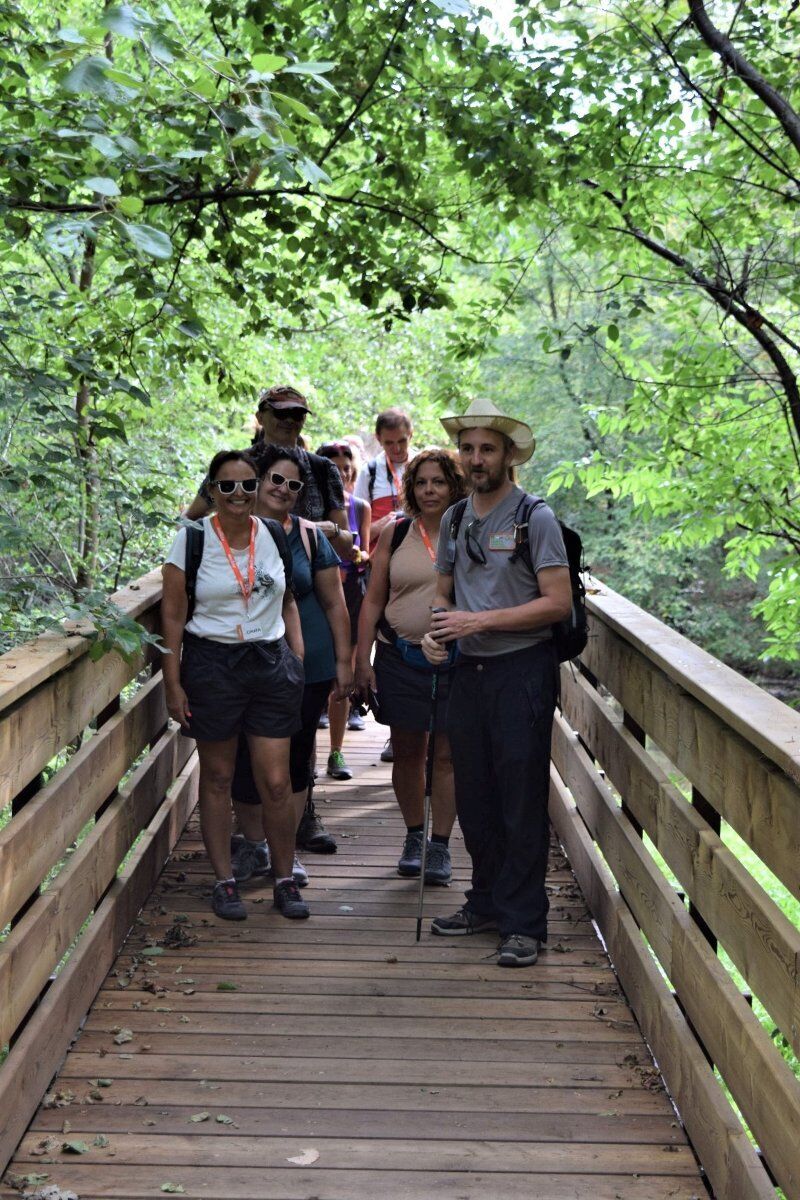 Camminata tra antichi boschi e riserve nel Parco del Ticino Camminata tra antichi boschi e riserve nel Parco del Ticino desktop picture