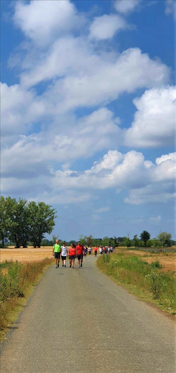 Passeggiata con Pranzo inedito tra i campi di Lavanda del Monferrato desktop picture